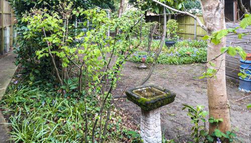 5 Rose Cottages - Foto 2