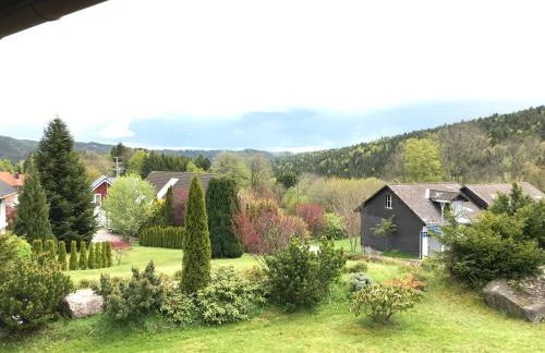 Beautiful apartment & pool Black Forest Häusern 5 people - Foto 15