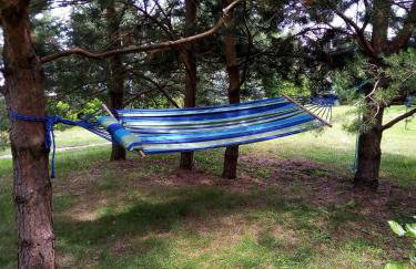 Dom Pod Sosnami - Foto 12