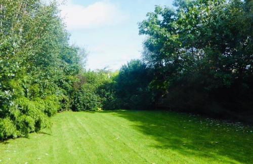 Springfields - Foto 6