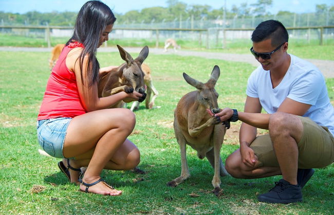 One Mile Retreat - Foto 25