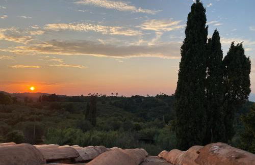 Tony's Home - Foto 1