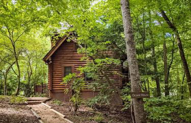 Ocoee Cabin Beautiful Cabin On The River's Edge - Foto 11
