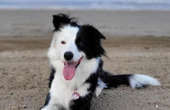 Biggy's Apartment - Foto 41