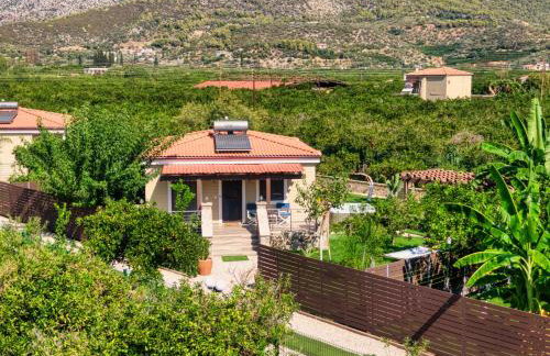 Desa Green Homes - Photo 14