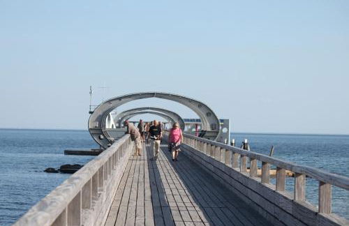 Silbermöwe im Kirschgarten - Foto 50