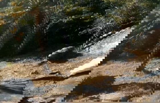 Another Holiday Home - Foto 13