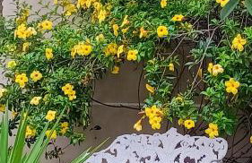 Suítes Colibri da Serra - Piscina & Conforto em Itaipava RJ - Foto 37