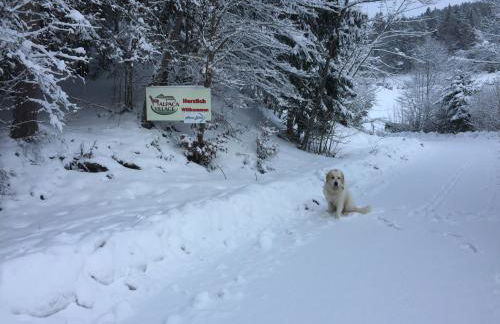 Alpaca-Village - Foto 39