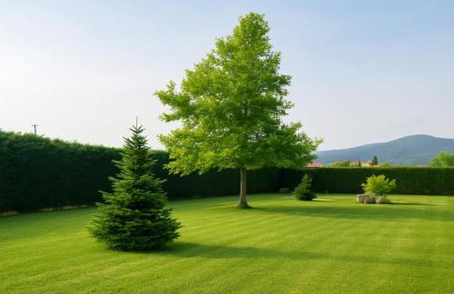 ΖoiHouse - Photo 20