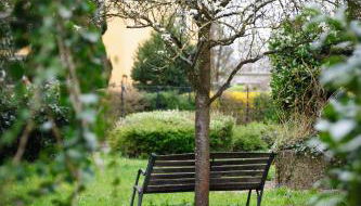 MHosting - Foto 1, Garden view