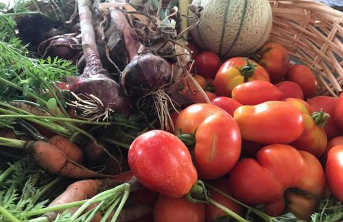 Tenuta Le Mandorlaie, Agriturismo in Scansano - Foto 15