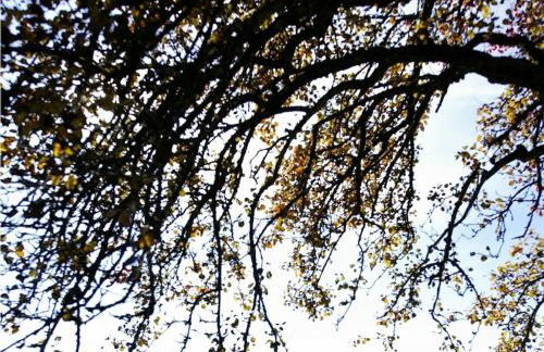 One-bedroom apartment - Foto 16