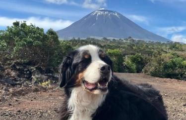 Casinha Kevin - Photo 23