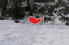 Schwarzwald Appartement - Foto 32