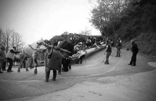 Tana Libera Tutti 3 Nature, Yourself, Love - Foto 50