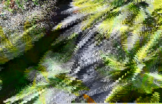 Kibayo Cabarete - Photo 56