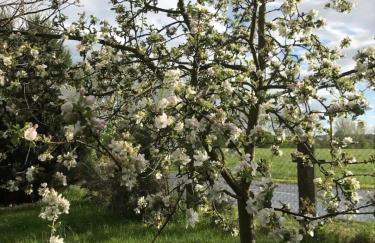 Familienhaus - Foto 23