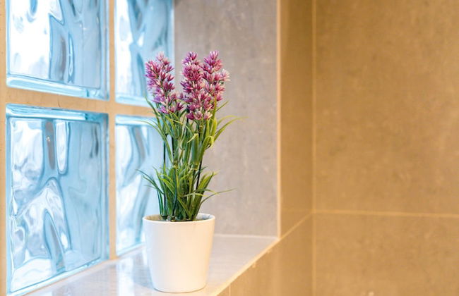 Hotel Boutique Sofia Soberana - Foto 16