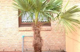 CariSSA Ferienwohnung - mit THERMEplus - Foto 66