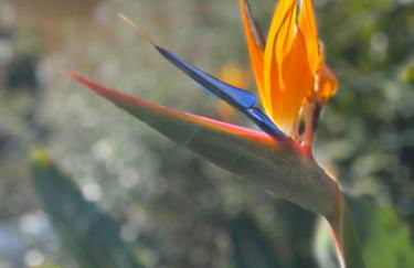 La casa nel castello e il giardino segreto - Photo 53