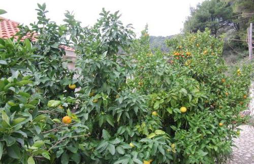 Holiday apartment in Saplunara with sea view, balcony, air conditioning, WiFi 5197-3 - Photo 35