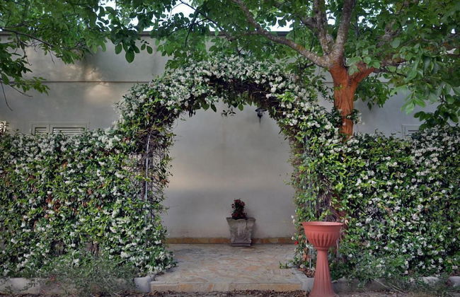 Masseria Lama - Foto 73