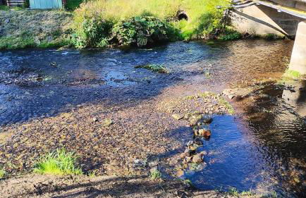 Seßles Waldhäuschen Dietzhausen - Photo 31