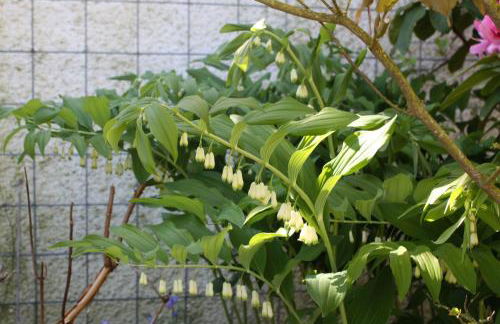 Die Stadtwohnung - Foto 37