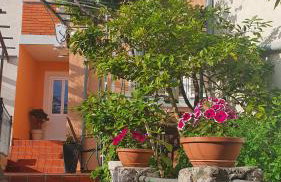 Apartmani Sirovica - Foto 2