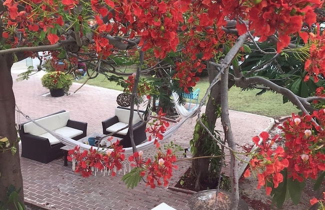 Ocean Front Property - Villa 5 Aruba Stunning - Foto 21