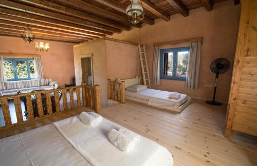 Chaihoutes stone House and Villa into Olive farm in Zia - Photo 19