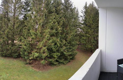 Harz High End 4 und 5 Sterne DTV Apartments - Photo 67