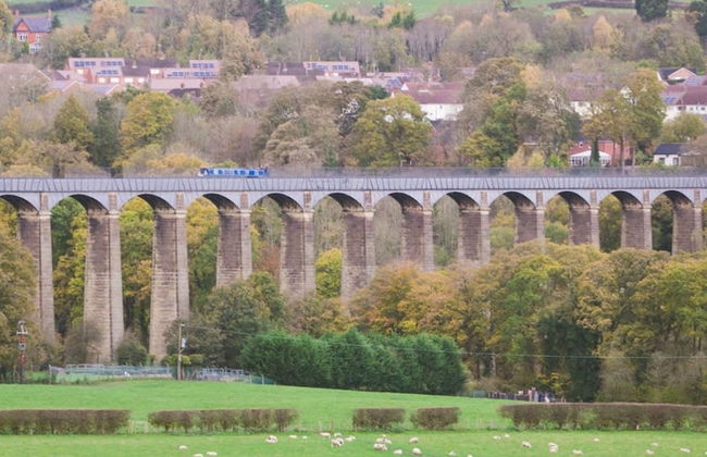 The Penthouse Gathering Wrexham Town Centre - Photo 45