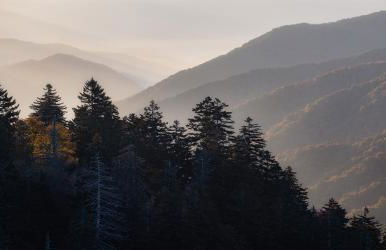 The Snow Owl Cabin - Foto 40