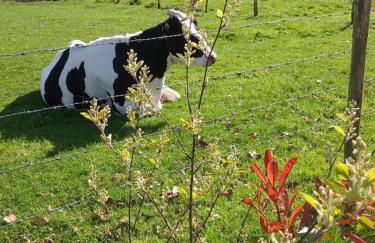 Gîte Gîtes de France® - Le Petit Marin - Foto 25