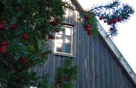 Haus am Wiek - Foto 28