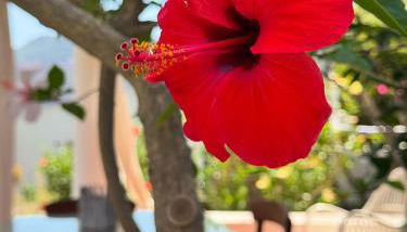 JERA Holiday Collection VULCANO TRE - Sea View - Foto 3