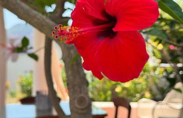 JERA Holiday Collection VULCANO TRE - Sea View - Foto 3