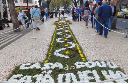 Levada Nova House - Foto 77