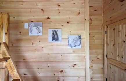 Counting Stars Luxury Cabin! - Foto 39