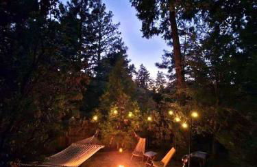 Wildland Loft Serene Mountain Retreat w Fireplace AC Fire Pit Hammock Outdoor Lounge Area Record Player Pets OK - Foto 28