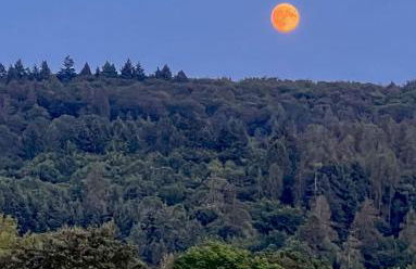 Ferienwohnung GoodTimes - Foto 6