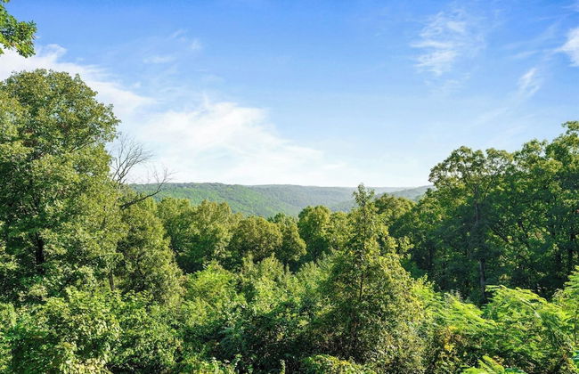 Branson's Crystal Cabin - Foto 62