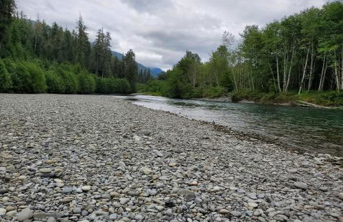 Sunkissed 3BR beach getaway - dog-friendly fenced yard, firepit, glimpse ocean views, near beach access, sleeps 8 - Foto 33