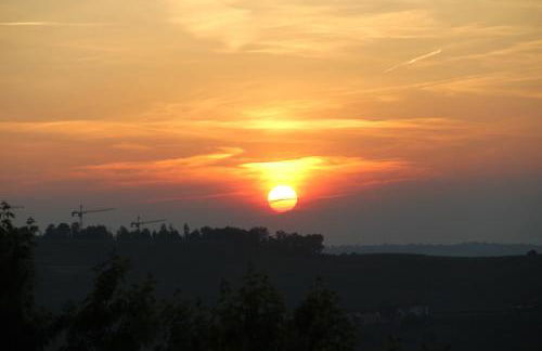 Il Vigneto - Foto 42