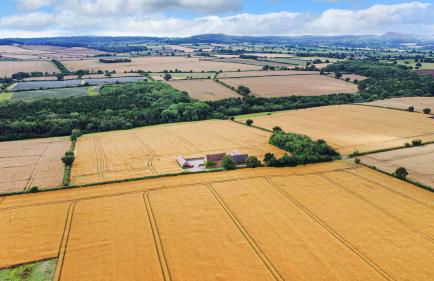 Windy Mundy Farm at Pitchford Estate - Foto 59