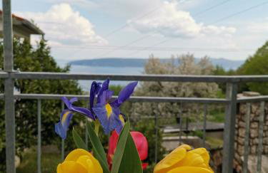 Apartman MARIJETA - Foto 5