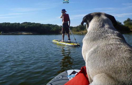 Casa das Rosas - Foto 30