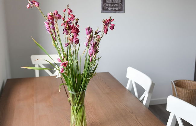 Casas do Pinheiro - Foto 13